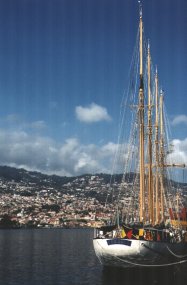 Creoula no Funchal - Fotografia de Rui Gonçalves