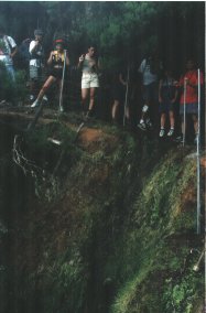 Na Levada - Fotografia de Rui Gonçalves