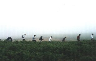 Caminhando no Paúl da Serra - Fotografia de Rui Gonçalves