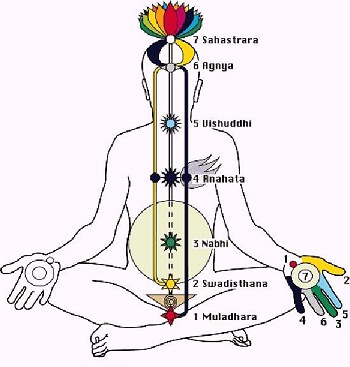 Os Chakras