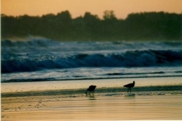 Pr-do-Sol em Stinson Beach - Fotografia de Rui Gonalves