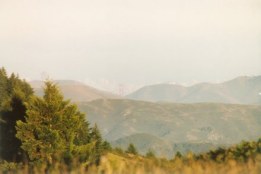 Golden Gate Do Tamalpais - Fotografia de Rui Gonçalves