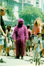 O Peluche Roxo - Fotografia de Rui Gonalves