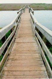 Ponte em Marin Headlands - Fotografia de Rui Gonalves