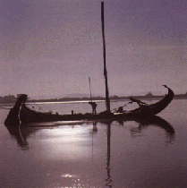 Moliceiro na Ria de Aveiro - Fotografia de Origem Desconhecida