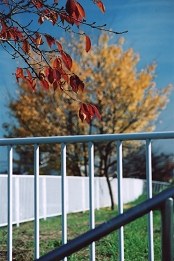 Cores de Outono em Kamoi - Fotografia de Rui Gonalves