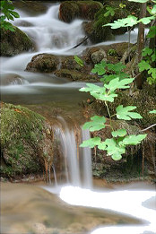 Krka - Fotografia de Rui Gonçalves