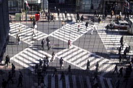 Passadeira em Shibuya - Fotografia de David Gaukrodger