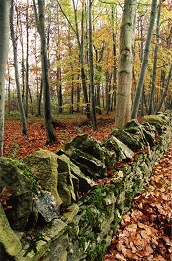 Cotswolds - Fotografia de Rui Gonçalves