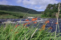 Aasleagh Falls - Fotografia de Cláudia Fernandes