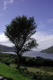 Killary Fjord - Fotografia de Cláudia Fernandes