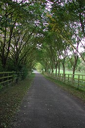 Thames Path - Fotografia de Cláudia Fernandes