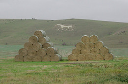 The new Devizes White Horse - Fotografia de Rui Gonçalves